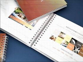 品牌之光 廈門(mén)企業(yè)畫(huà)冊(cè)設(shè)計(jì)與形象策劃的融合之道